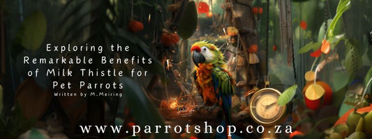 Exploring the Remarkable Benefits of Milk Thistle for Pet Parrots