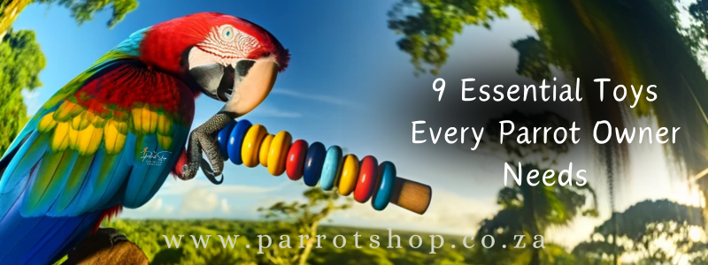 9 Essential Toys Every Parrot Owner Needs