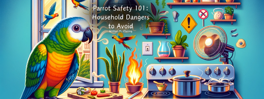 Parrot Safety 101: Household Dangers to Avoid