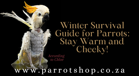 Winter Survival Guide for Parrots: Stay Warm and Cheeky!