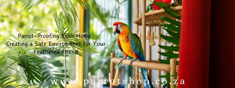 Parrot-Proofing Your Home: Creating a Safe Environment for Your Feathered Friend