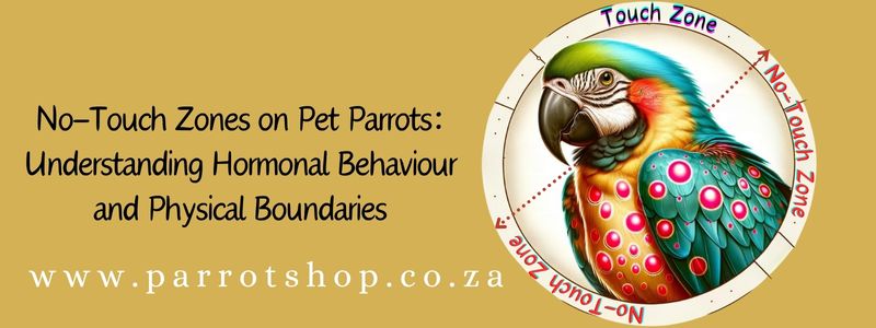 No-Touch Zones on Pet Parrots: Understanding Hormonal Behaviour and Physical Boundaries