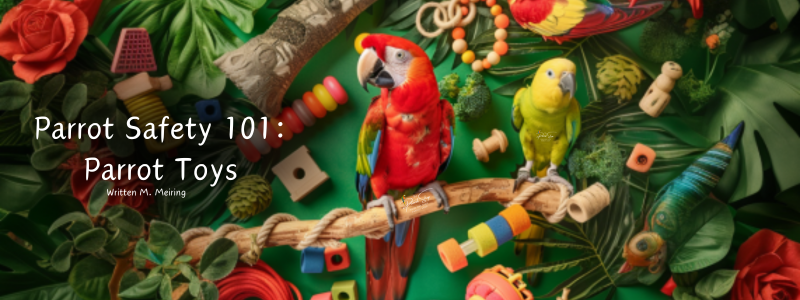 Parrot Safety: 101 Parrot Toys