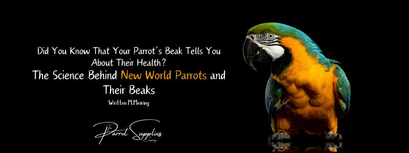 The Science Behind New World Parrots and Their Beaks