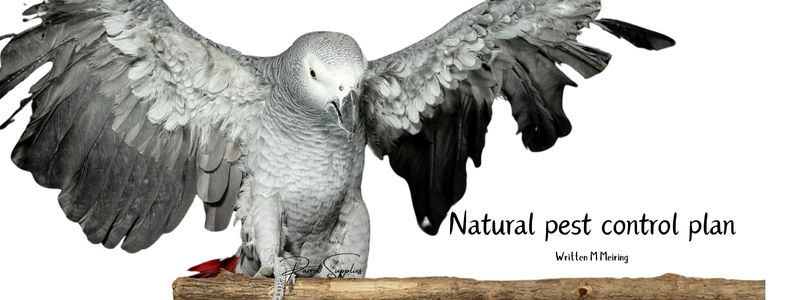 Natural pest control plan