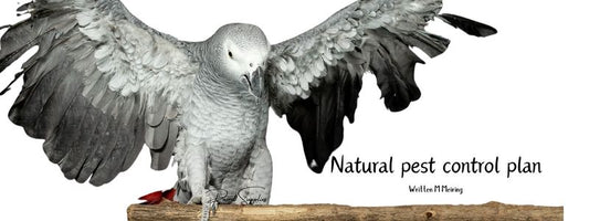 Natural pest control plan