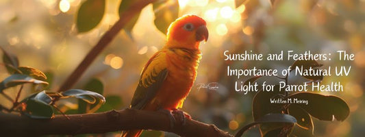 Sunshine and Feathers: The Importance of Natural UV Light for Parrot Health