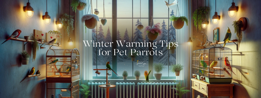 Winter Warming Tips for Pet Parrots