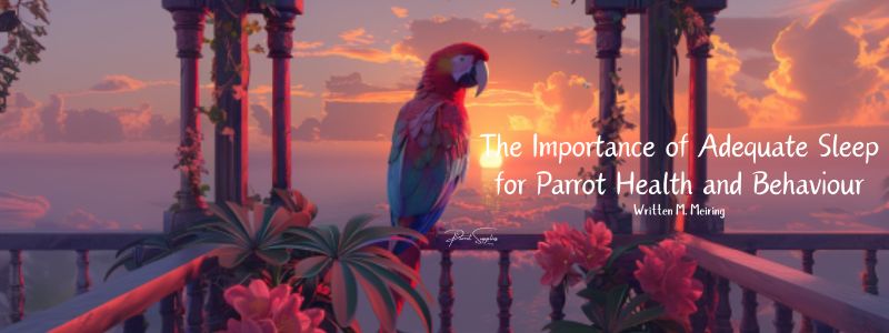 The Importance of Adequate Sleep for Parrot Health and Behaviour