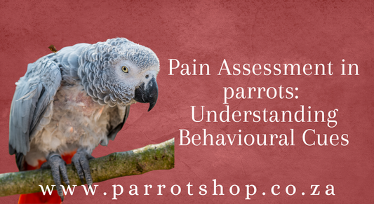 Pain Assessment in Birds: Understanding Behavioral Cues