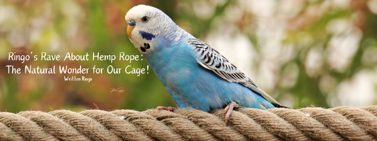 Ringo’s Rave About Hemp Rope: The Natural Wonder for Our Cage!