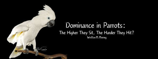 Dominance in Parrots