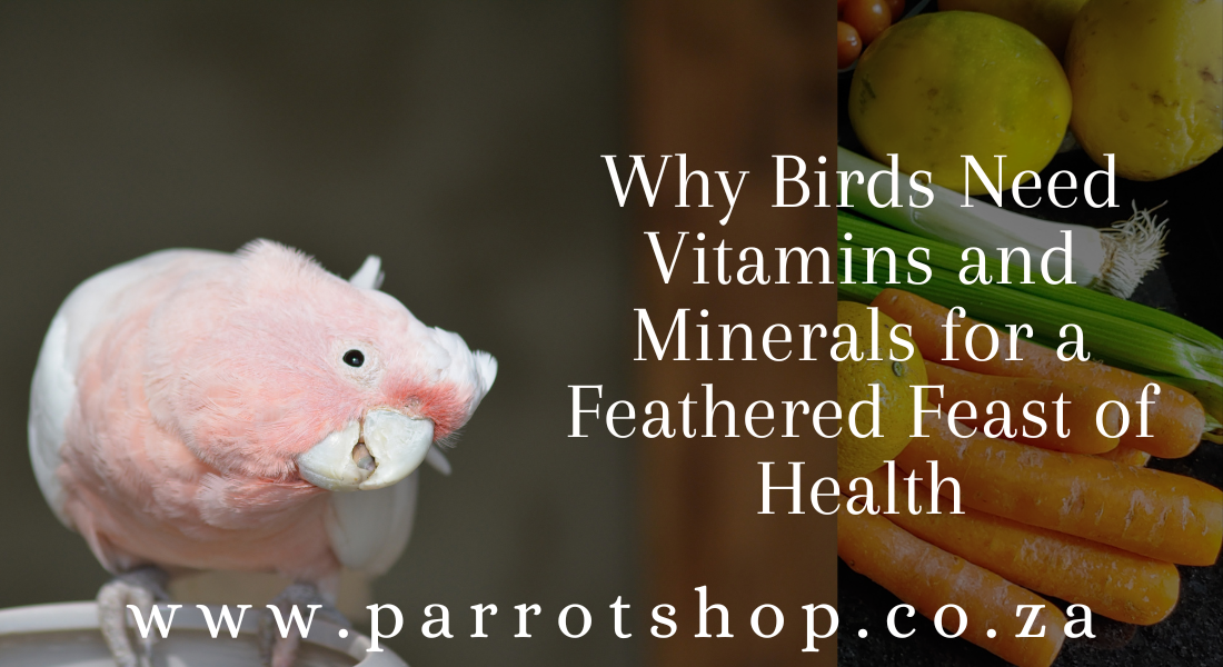 Why Birds Need Vitamins and Minerals for a Feathered Feast of Health