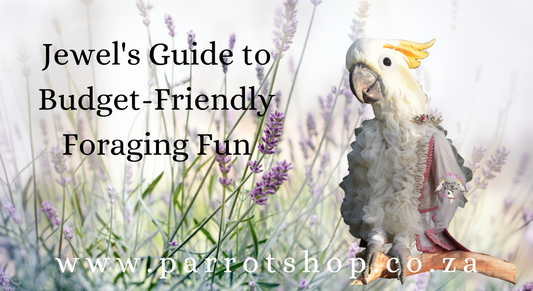 Jewel's Guide to Budget-Friendly Foraging Fun