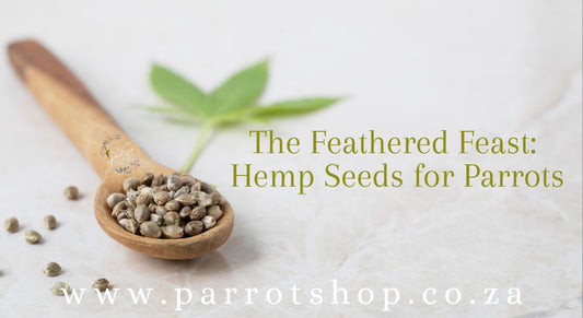 The Feathered Feast: Hemp Seeds for Parrots