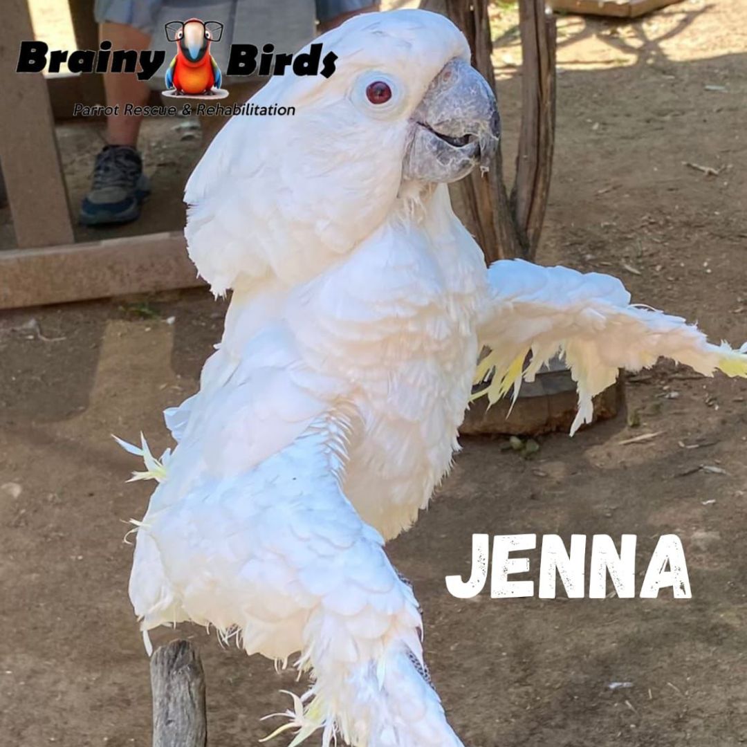 Jenna