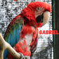 Gabriel