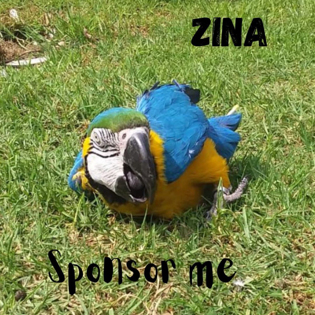 Zina