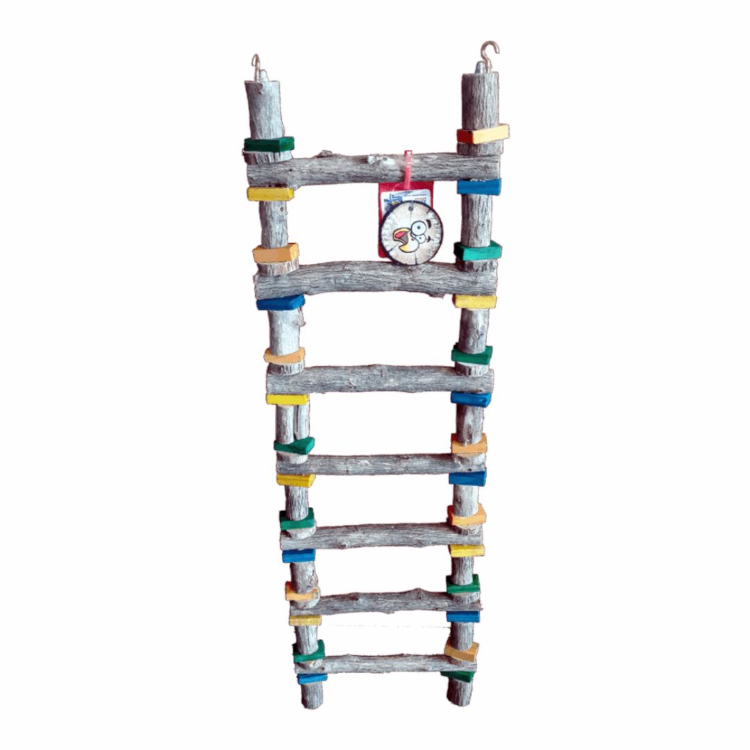 7 Step Sekelbos Ladder X-Large