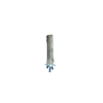 Bluegum Perches
