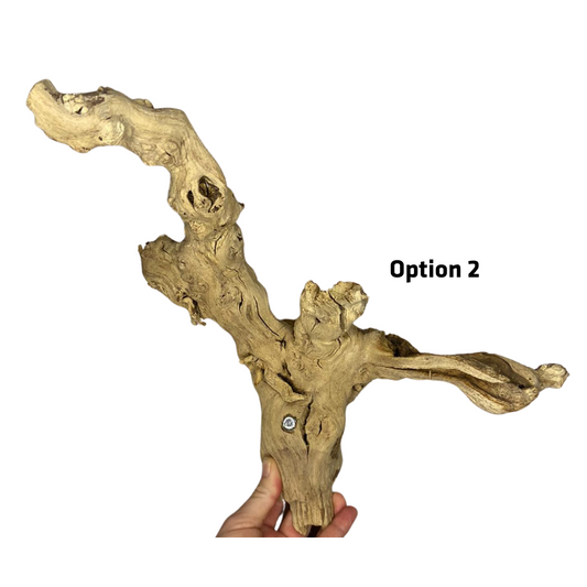 Cage Branch