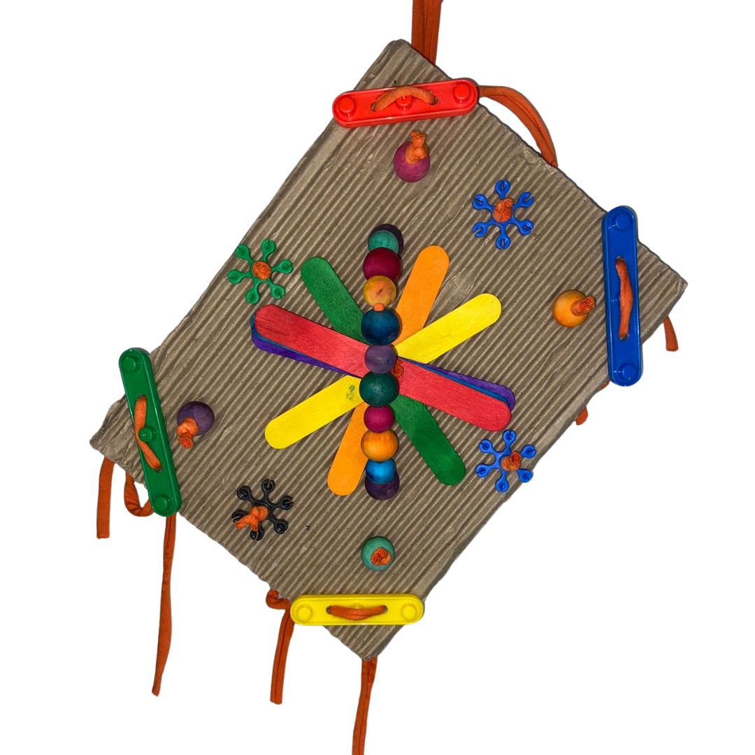 Cardboard Activity