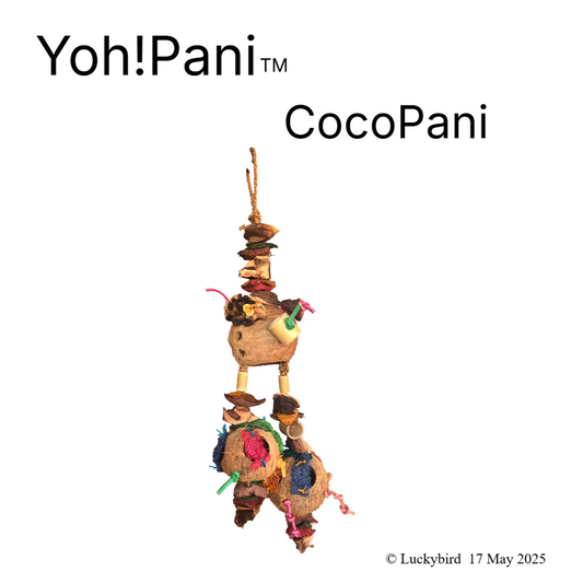 CocoPani