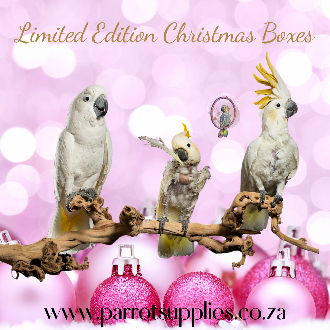 Limited Edition Christmas Box