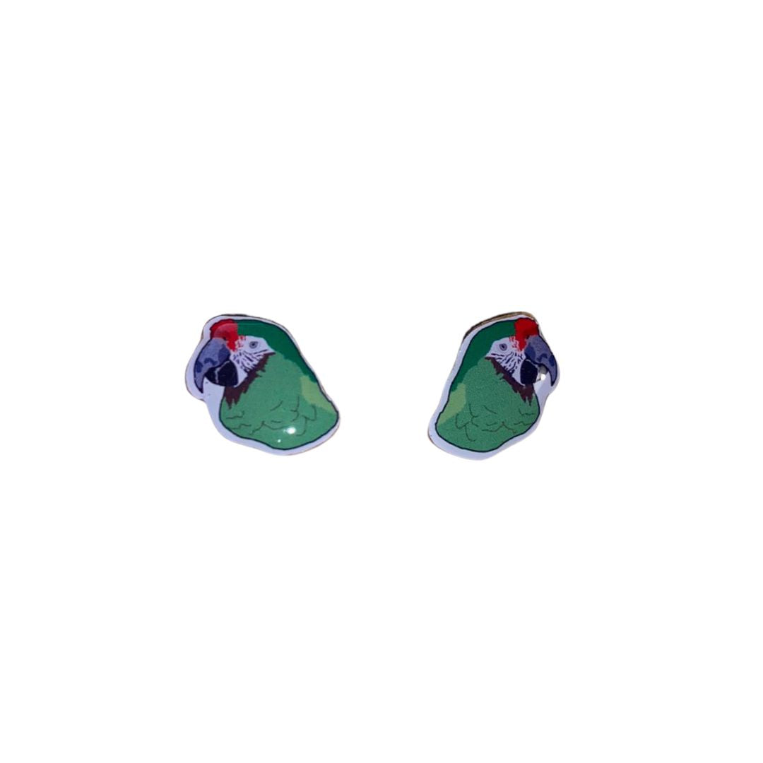 Parrot Earrings