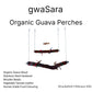 Guava Interchangeable Swing
