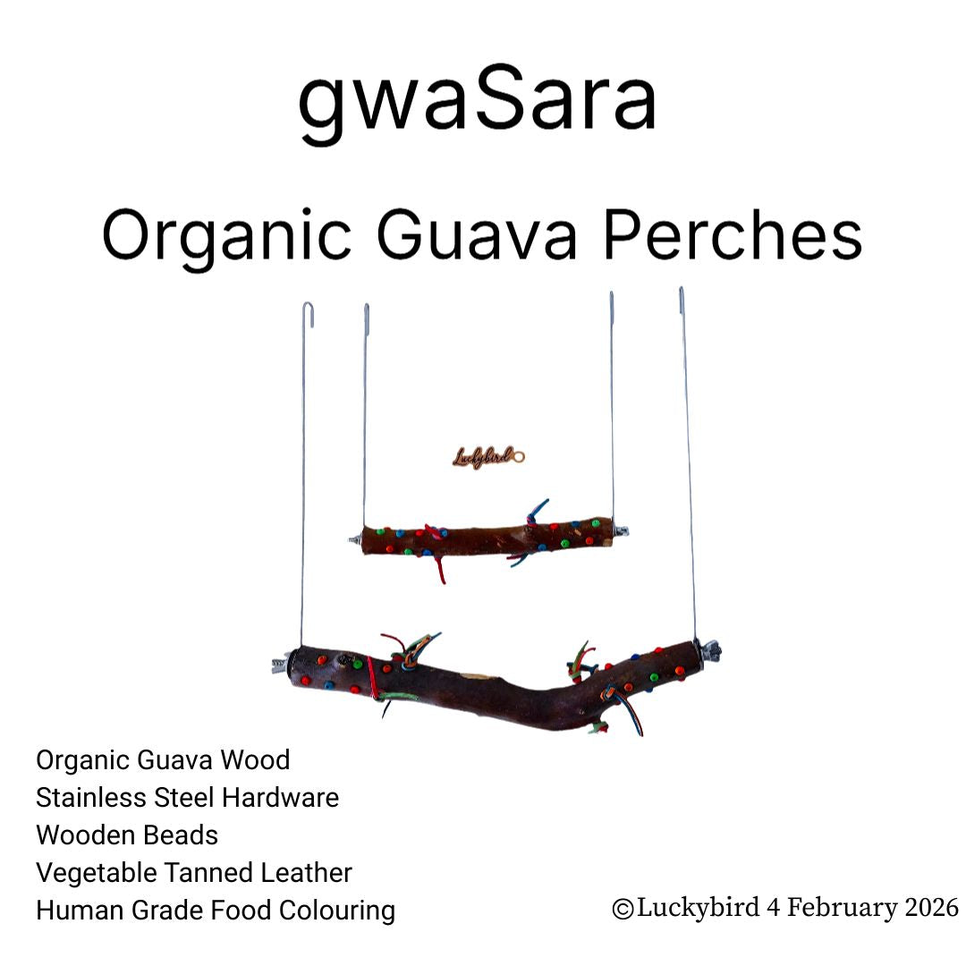 Guava Interchangeable Swing