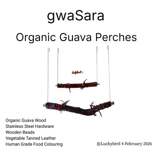 Guava Interchangeable Swing