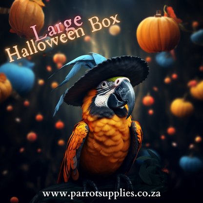 Limited Edition Halloween Box