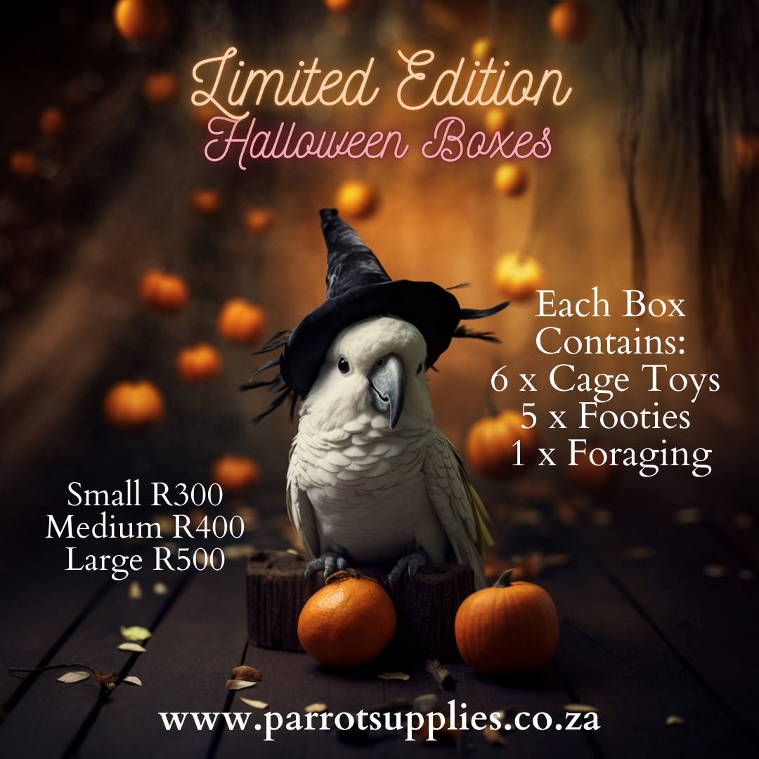 Limited Edition Halloween Box