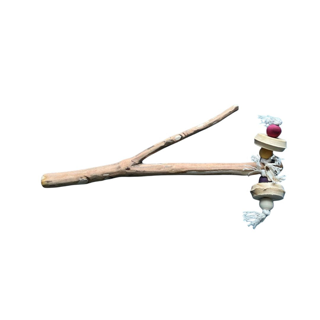 Bluegum Perch With Toys