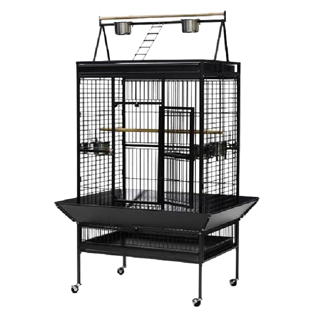 The Penthouse Parrot Cage