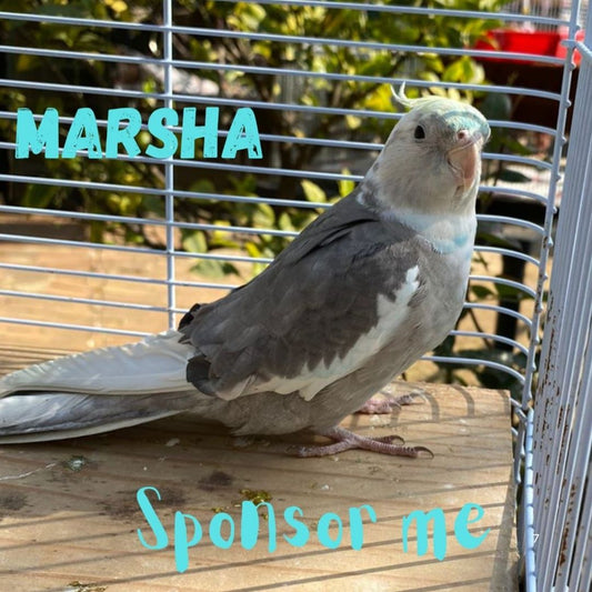 Marsha