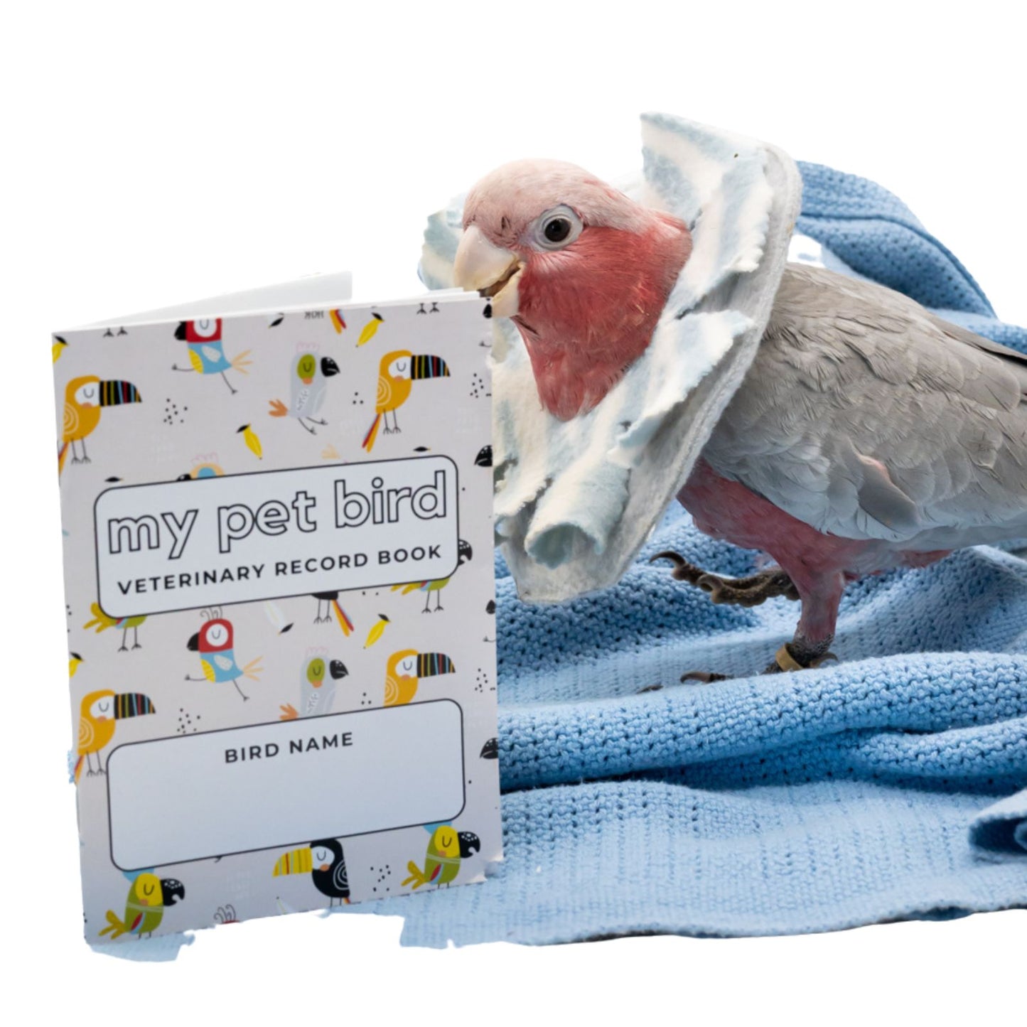 My Pet Bird Veterinary Record Book