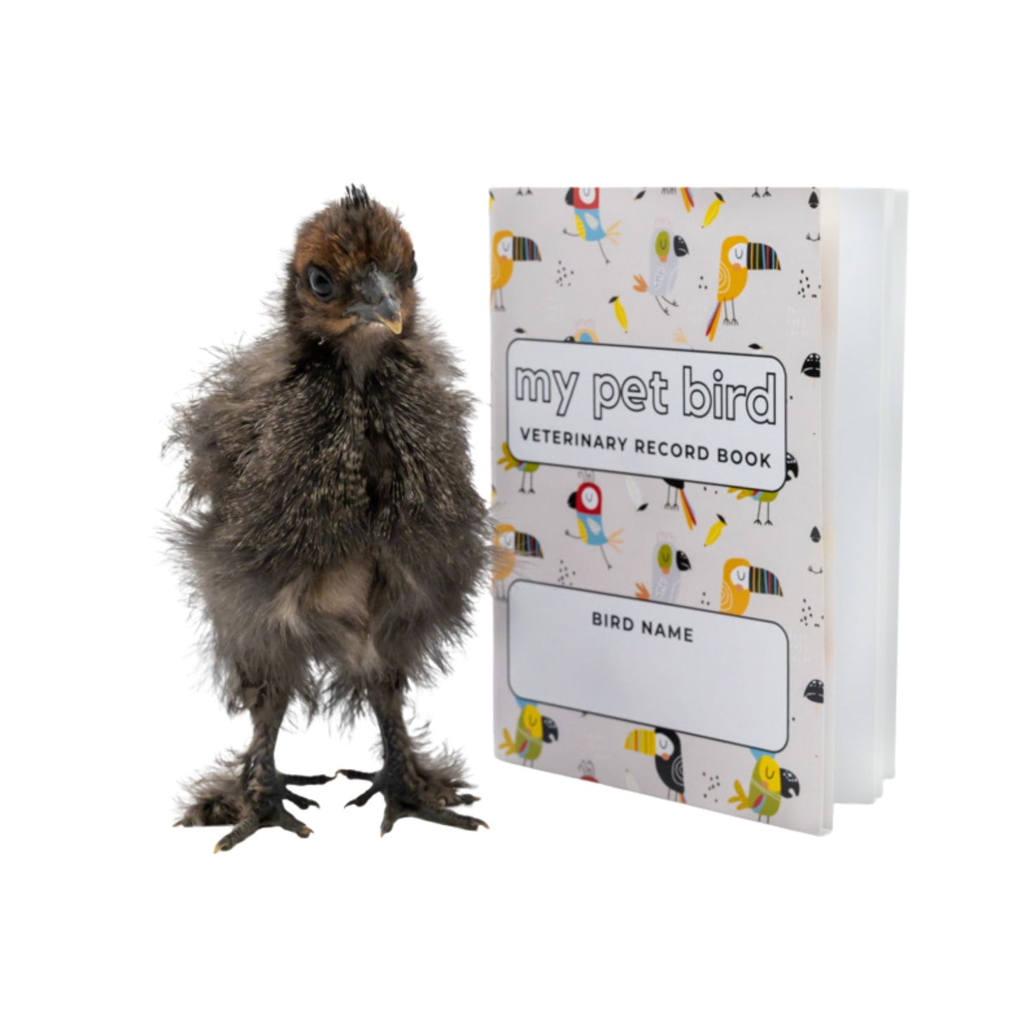 My Pet Bird Veterinary Record Book