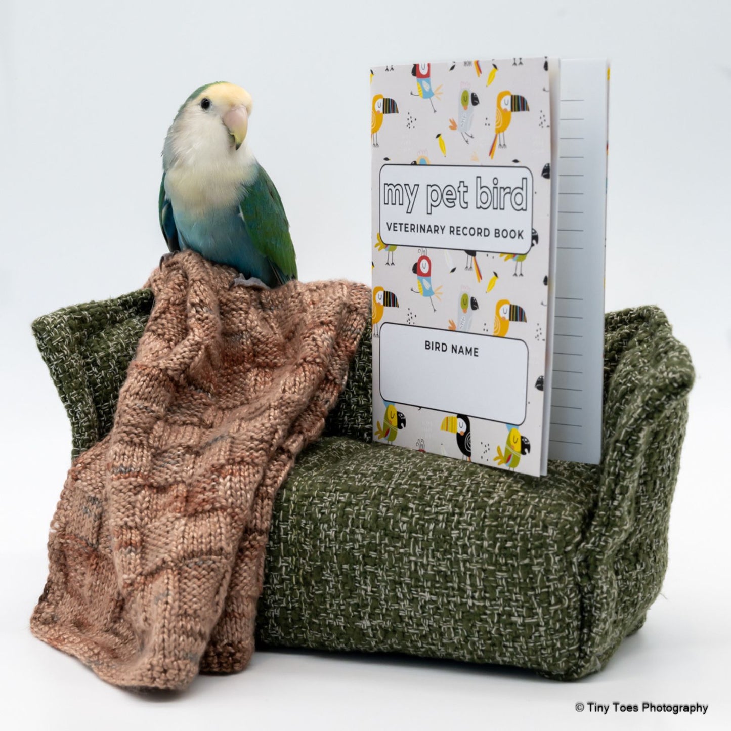 My Pet Bird Veterinary Record Book