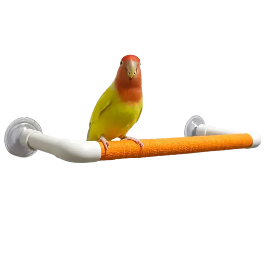 Window/ Shower Perch