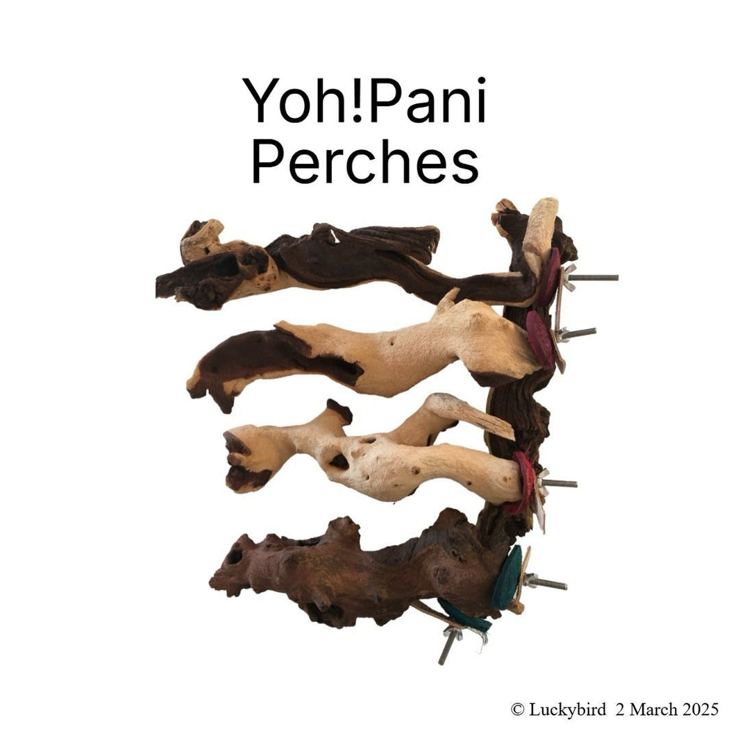 Perchies Perches – Parrot Supplies Co