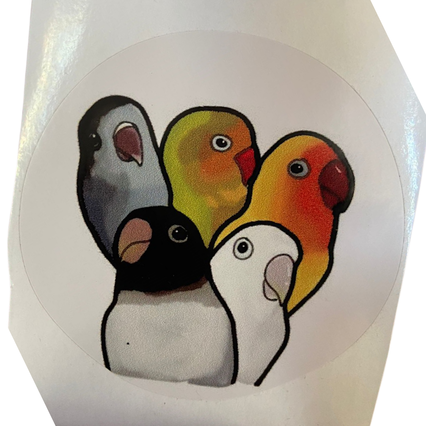 Cheeky Beaks License Disk Stickers