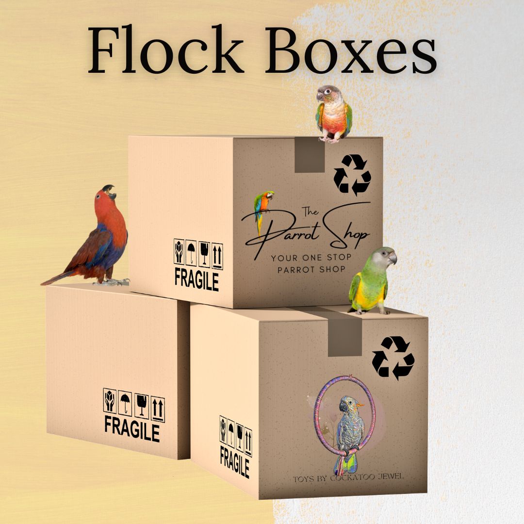 Flock Boxes – Parrot Supplies Co