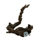 Grapevine Perches