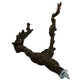 Grapevine Perches