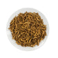 Mealworms