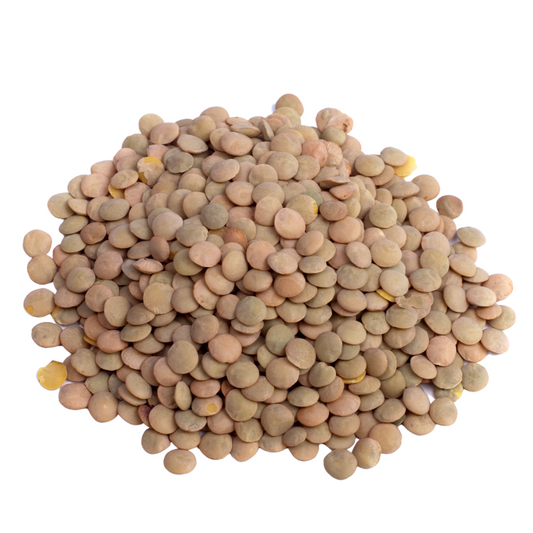 Lentils - Brown