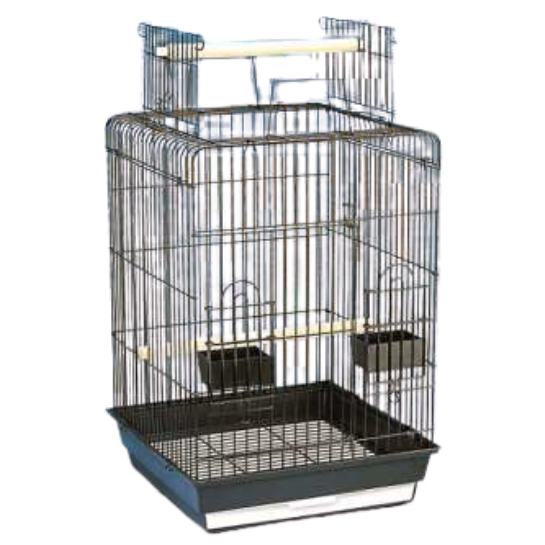 Cage Cockatiel Square