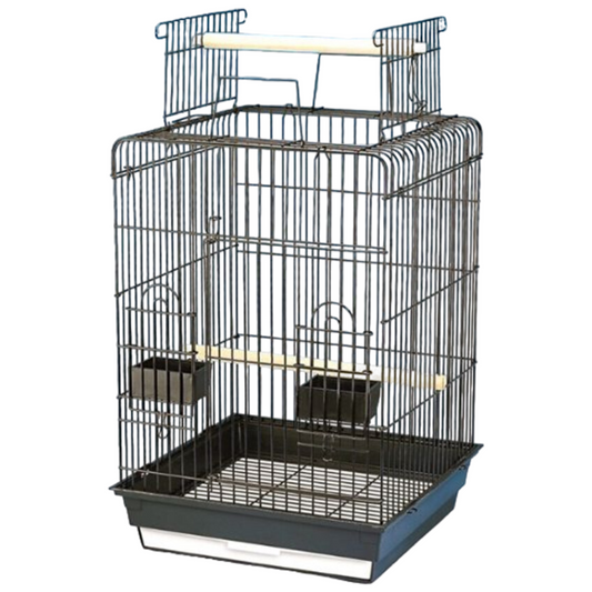 Cage Cockatiel Square